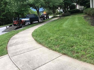 Cyndi H.'s Lawn Care service result