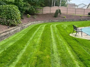 Pamela H.'s Yard Cutting service result