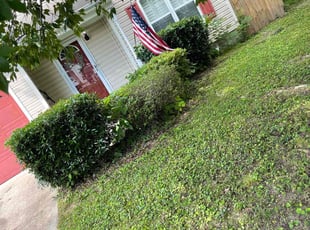 Bush Trimming by Rey Rijos for Teresa B. in Virginia Beach, VA