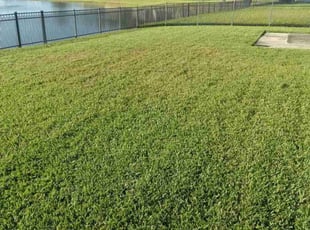 David E.'s Grass Cutting service result