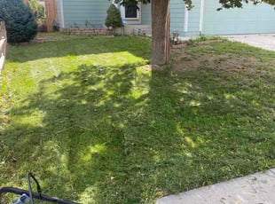 Linda V.'s Lawn Care service result