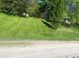 Doug S.'s Lawn Care service result