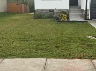 Jennifer c.'s Lawn Care service result