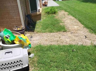 Weeding by Salvador Gonzalez for Anderson B. in Lewisville, TX