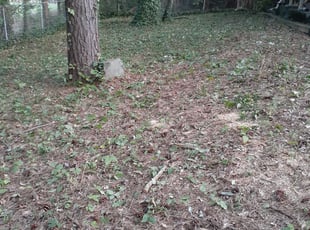 Landscaping by Antonio Gibbs for Danielle S. in Norcross, GA