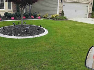 Gregory B.'s Lawn Care service result