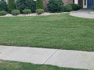 Linda F.'s Yard Cutting service result