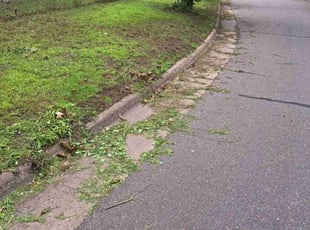 Kevin V.'s Lawn Maintenance service result