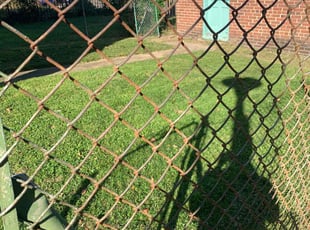 Kim Z.'s Lawn Mowing service result