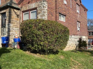 Bush Trimming by Deven Coles for Margaret G. in Philadelphia, PA