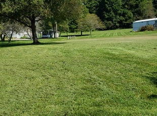 Korrine R.'s Lawn Mowing service result