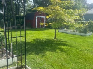 Asha V.'s Yard Cutting service result