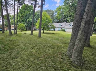 Austin V.'s Lawn Mowing service result