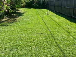 Sol M.'s Grass Cutting service result