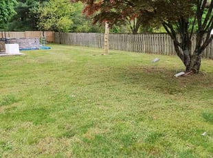 Laura W.'s Lawn Service service result