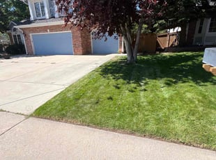 Andie S.'s Lawn Mowing Service service result