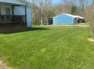 Pam J.'s Lawn Mowing service result