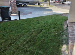 Egypt A.'s Grass Cutting service result