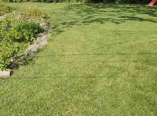 Spencer P.'s Grass Cutting service result