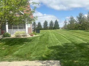Lindsay D.'s Grass Cutting service result