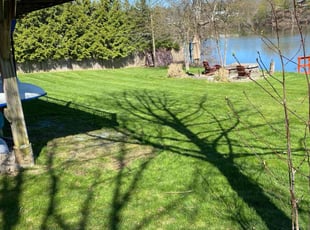 Courtney N.'s Lawn Mowing service result