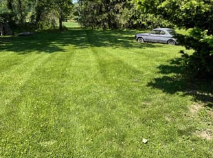 Sean N.'s Lawn Service service result