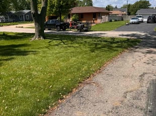 Sandra C.'s Lawn Service service result