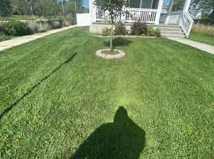 Harold W.'s Lawn Service service result