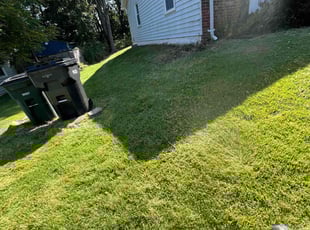 Ramon G.'s Lawn Care service result