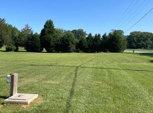 Michael L.'s Lawn Mowing service result
