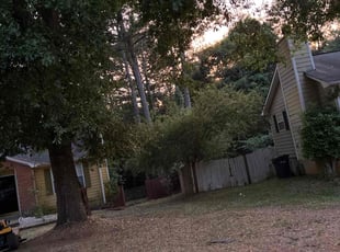 Leaf Removal by Trevor Harris for Shandria B. in McDonough, GA