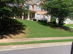 Donna G.'s Lawn Mowing service result