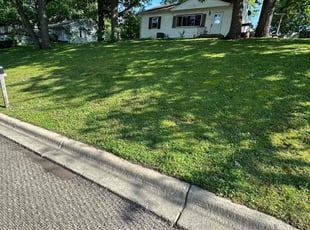 Russ G.'s Lawn Care service result