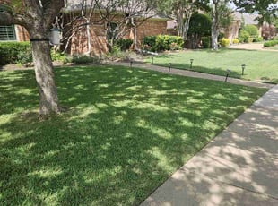 Patricia K.'s Grass Cutting service result