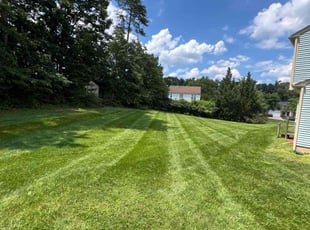Nelson S.'s Lawn Service service result