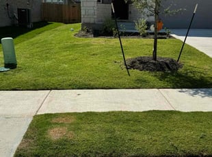 Sandy c.'s Grass Cutting service result