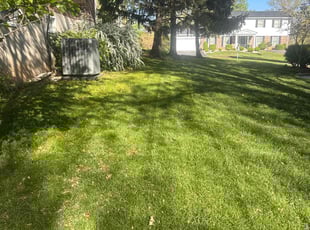 Tricia B.'s Lawn Service service result