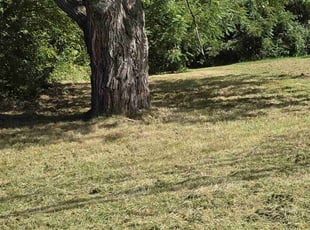 Chris B.'s Lawn Service service result