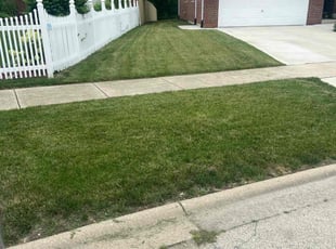 Tabitha N.'s Yard Cutting service result