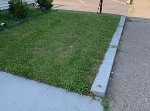 Susan S.'s Lawn Service service result