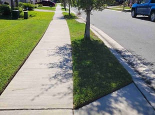 Daisha W.'s Lawn Care service result