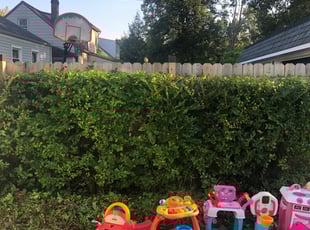 Bush Trimming by Demetrius Bennett Jr for Bassam S. in Parma Heights, OH