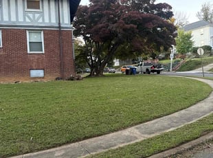 Kerman F.'s Lawn Service service result