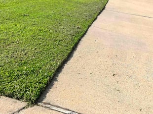 Alex D.'s Yard Cutting service result