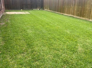 Michael d.'s Lawn Service service result