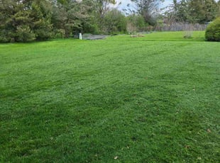 Julie d.'s Yard Cutting service result