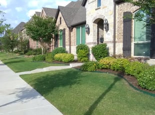Weeding by Walter Wuthrich for Janel T. in Lewisville, TX