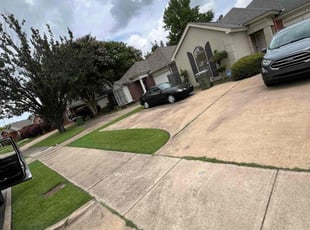 Sean T.'s Lawn Mowing service result