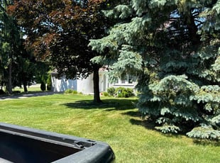 Bosede E.'s Lawn Care service result
