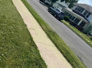 Dr. Darrell D.'s Lawn Care service result